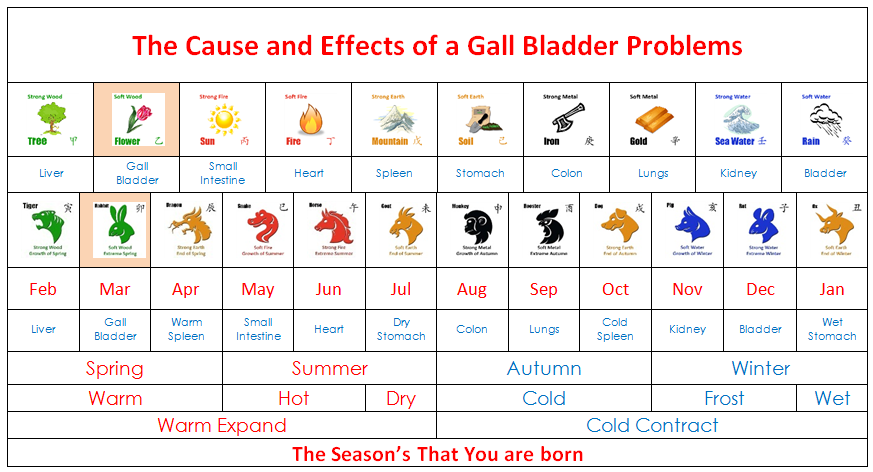 Gall bladder